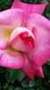 20140530_180948