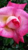 20140530_180951