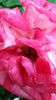 20140530_181002