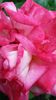 20140530_181008