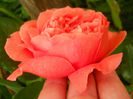 DSCN3655