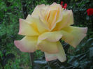 DSCN3683
