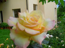 DSCN3686