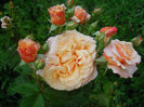 DSCN3693