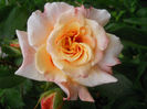 DSCN3703_051