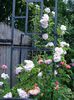 DSC08157