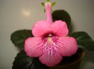 DSC09081