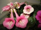 DSC09096