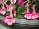 DSC09097