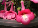 DSC09098