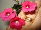 DSC09128