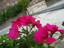 DSCN2993
