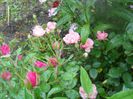 DSCN6194