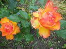 DSCN6197