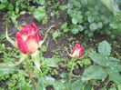 DSCN6213