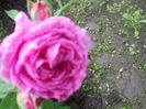 DSCN6215