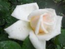 DSCN6228