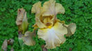 DSC01186