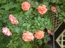 DSC00034