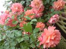 DSC00035
