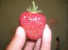 DSCF2674