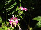 DSCN0754