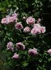 DSCN0758