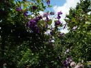 DSCN0760