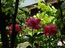 DSCN0768