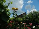 DSCN0774