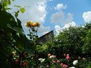 DSCN0775