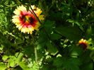 DSCN0780