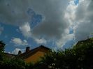 DSCN0784