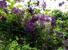 DSCN0850