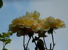 DSCN0858