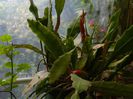 DSCN0907