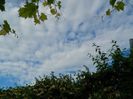 DSCN0913