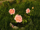 Abraham Darby