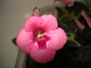DSC09101
