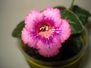 DSC09151