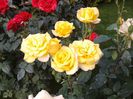 20140531_191407