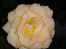 20140531_191505