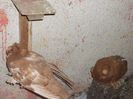 DSCF6765