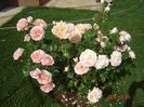 Abraham Darby