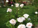 DSC04697