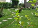 DSC04670