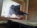 IMG_20140531_190145_675