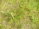 P1100431