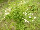 P1100433