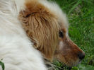 DSC00781